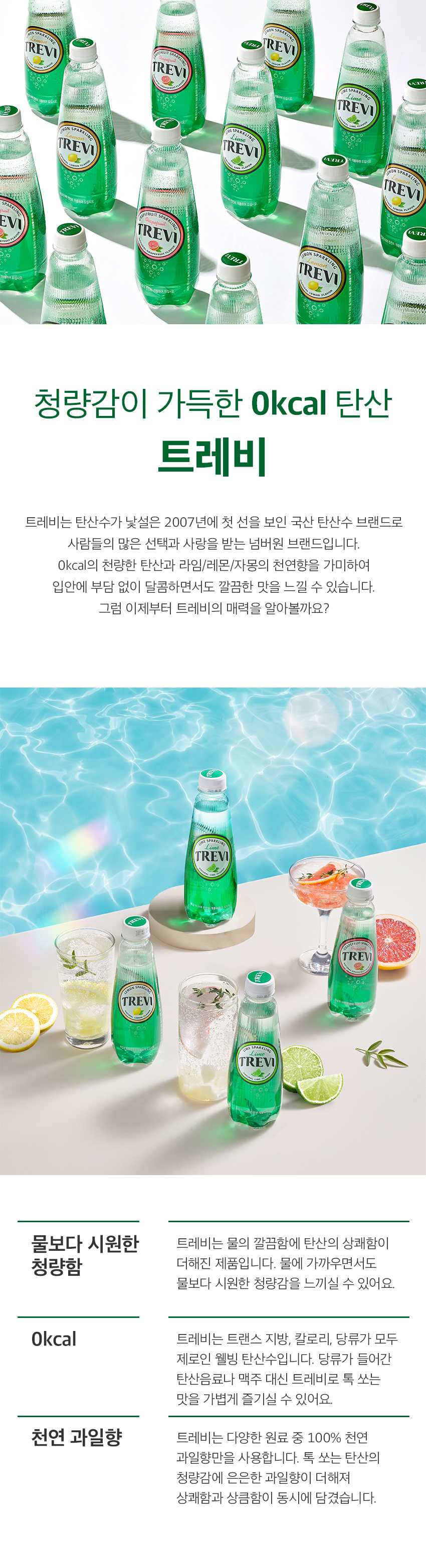 트레비